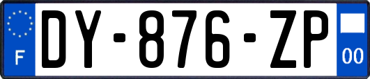 DY-876-ZP