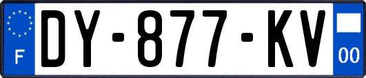 DY-877-KV