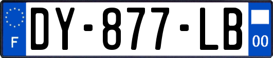 DY-877-LB