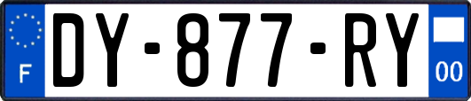 DY-877-RY