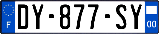 DY-877-SY