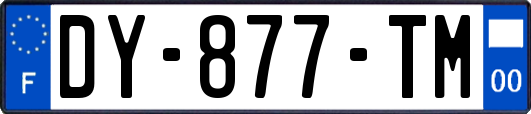 DY-877-TM