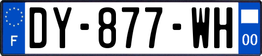 DY-877-WH