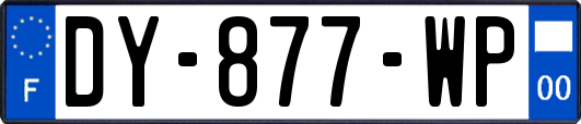 DY-877-WP