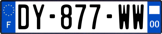 DY-877-WW