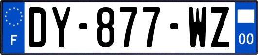 DY-877-WZ