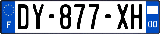 DY-877-XH