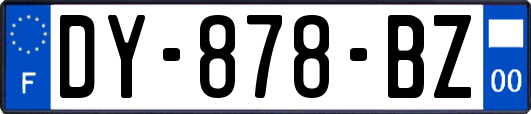 DY-878-BZ