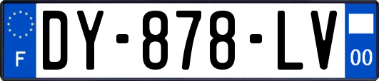 DY-878-LV