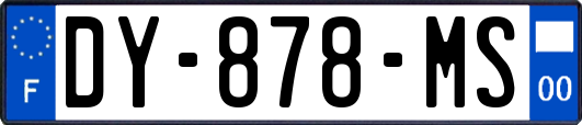 DY-878-MS