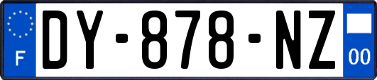 DY-878-NZ