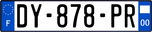 DY-878-PR