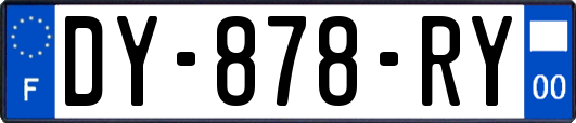 DY-878-RY