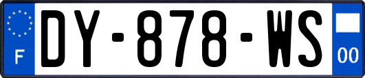 DY-878-WS