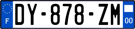 DY-878-ZM