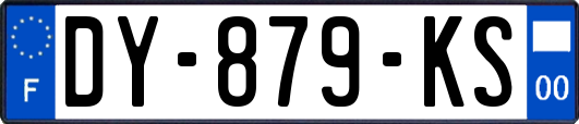 DY-879-KS