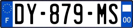 DY-879-MS