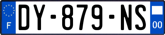 DY-879-NS