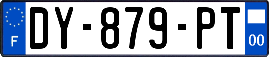 DY-879-PT