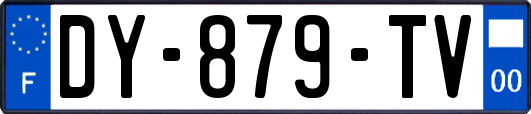 DY-879-TV