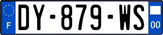 DY-879-WS