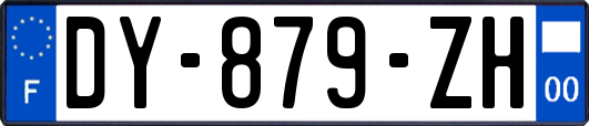 DY-879-ZH