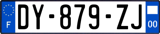 DY-879-ZJ