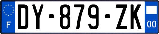 DY-879-ZK