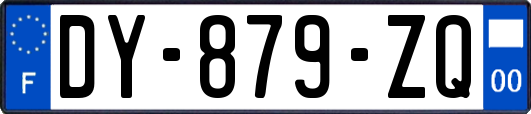 DY-879-ZQ