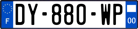 DY-880-WP