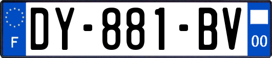 DY-881-BV