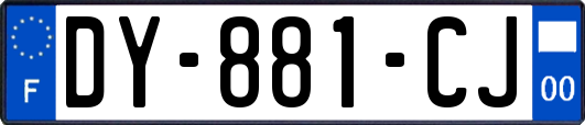 DY-881-CJ