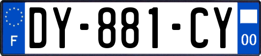DY-881-CY