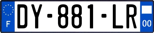 DY-881-LR