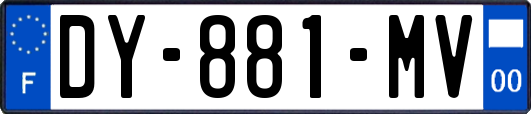 DY-881-MV