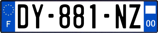 DY-881-NZ