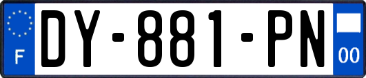 DY-881-PN