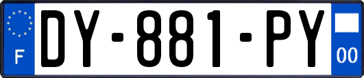 DY-881-PY