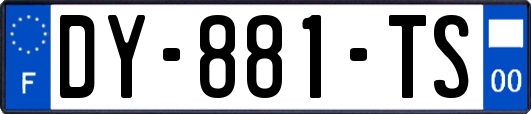 DY-881-TS