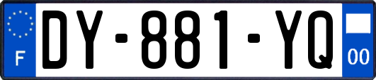 DY-881-YQ