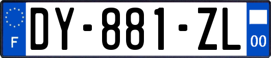 DY-881-ZL