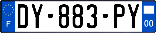 DY-883-PY
