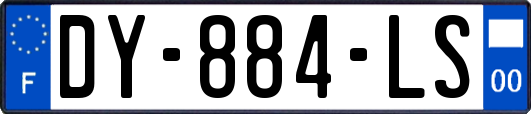 DY-884-LS