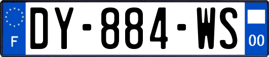 DY-884-WS