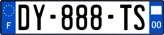 DY-888-TS