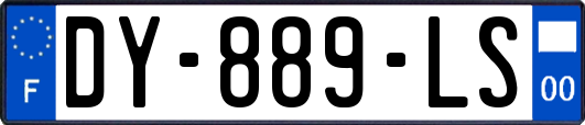 DY-889-LS