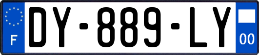 DY-889-LY