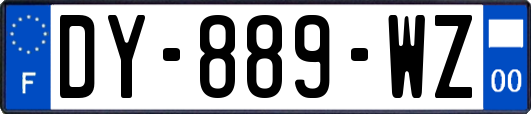 DY-889-WZ