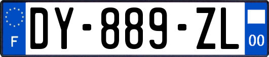 DY-889-ZL