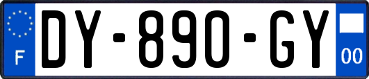 DY-890-GY